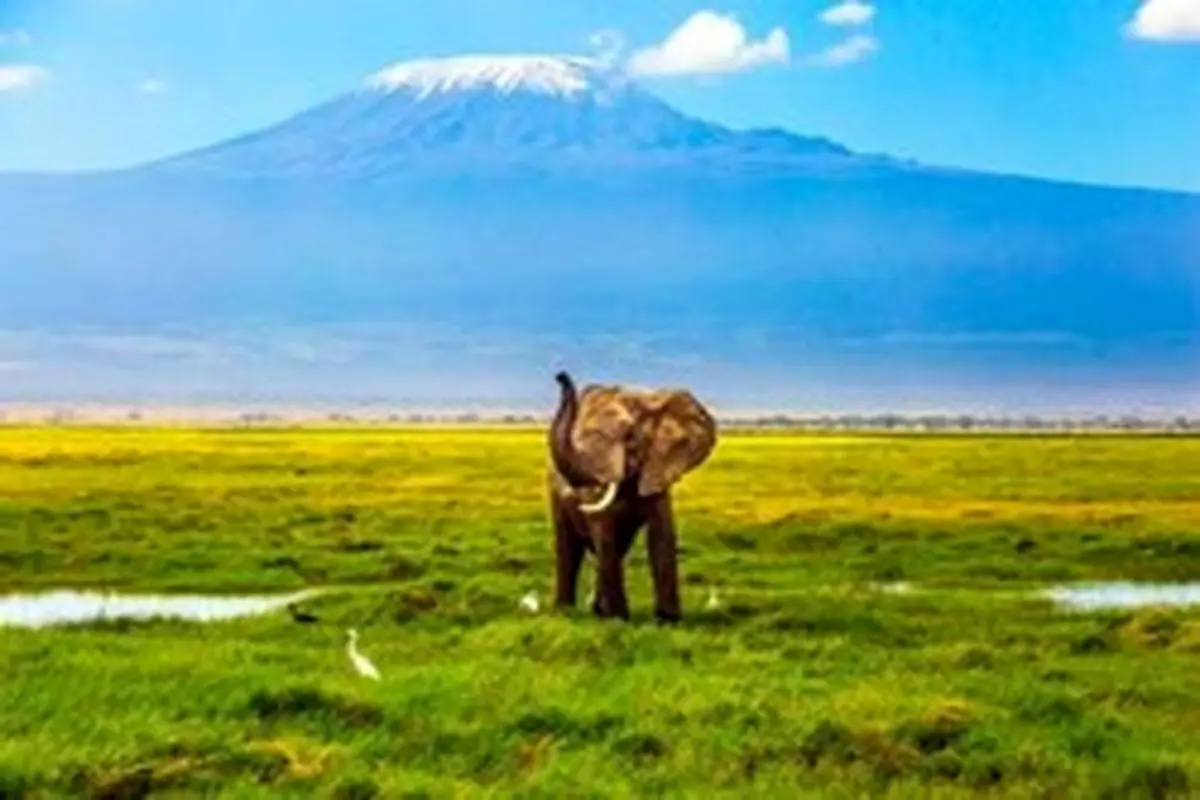 10 مورد از بهترین جاذبه های گردشگری تانزانیا در آفریقای شرقی