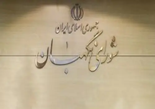 شورای نگهبان جایگاه قدسی  دارد؛ رد صلاحیت‌ها باعث افزایش مشارکت می‌شود