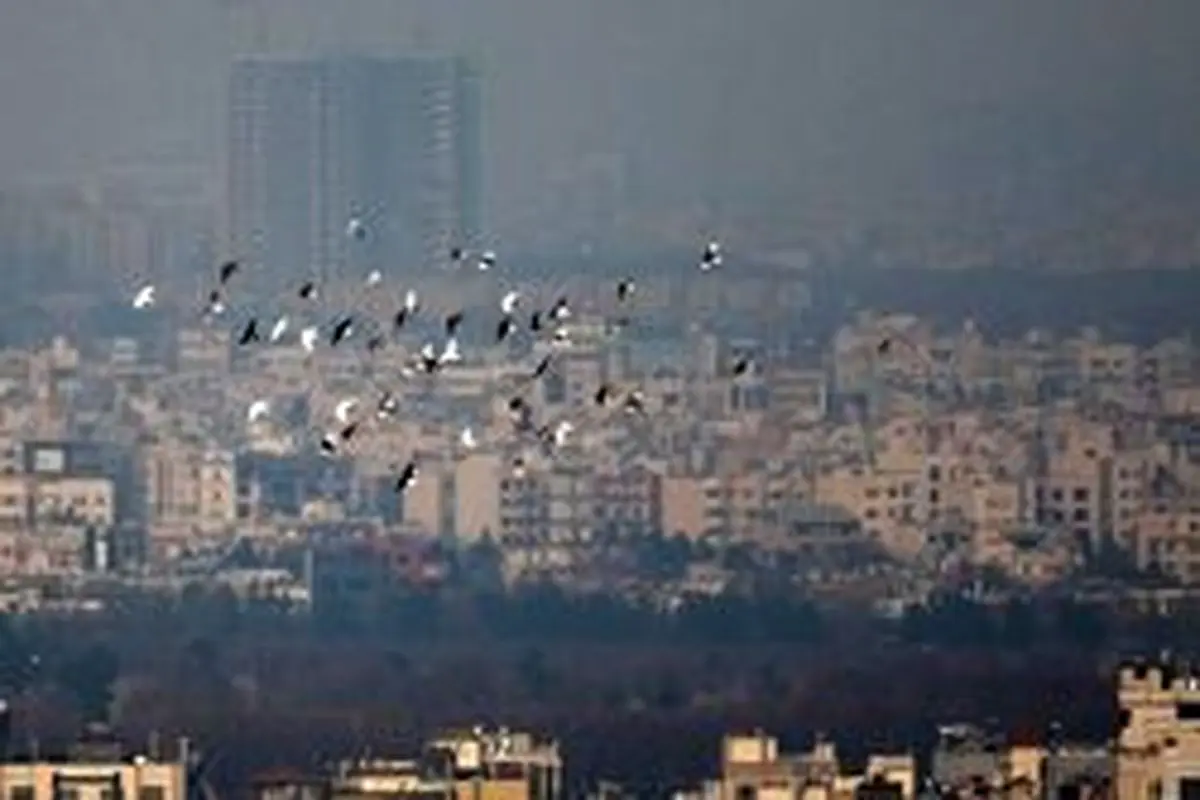 توصیه به شهروندان تهرانی: در زمان آلودگی هوا در خانه بمانید