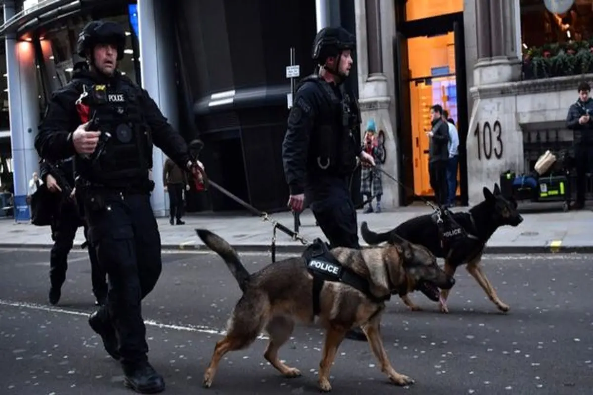 عامل حمله در لندن بریج، سابقه دار بود+عکس