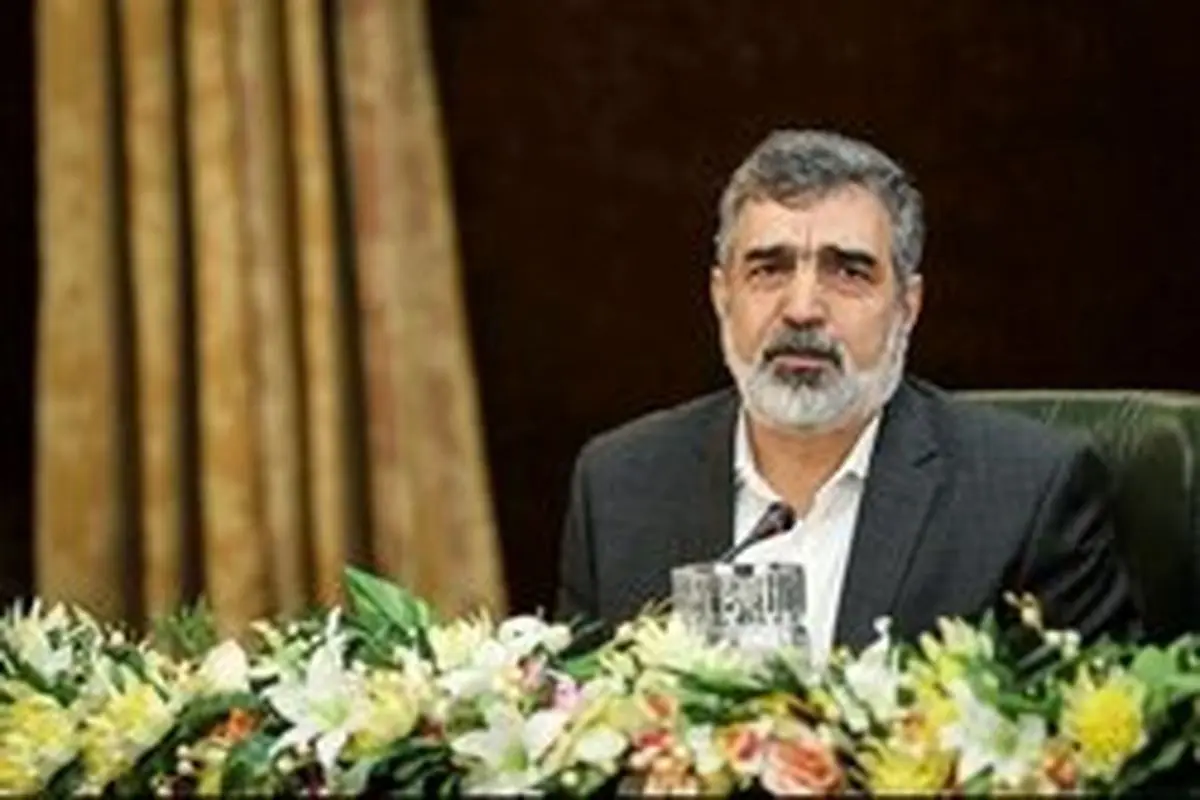 کمالوندی: به لحاظ سیاسی بهتر است روسها کنار ما باشند