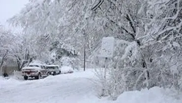 کشف اجساد زوج سالخورده آمریکایی زیر برف‌