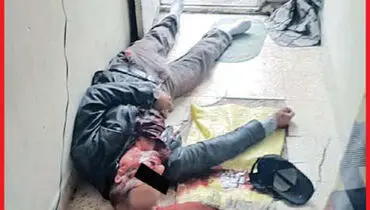 طناب‌دار در انتظار «گـرگ شهـر»+عکس