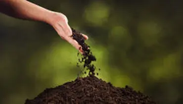 تبدیل سریع جنازه به خاک