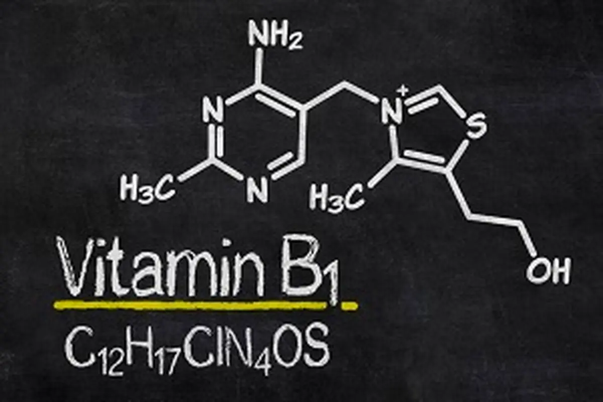 ویتامین B۱ یا تیامین، ویتامینی برای سلامت کلیه‌ها