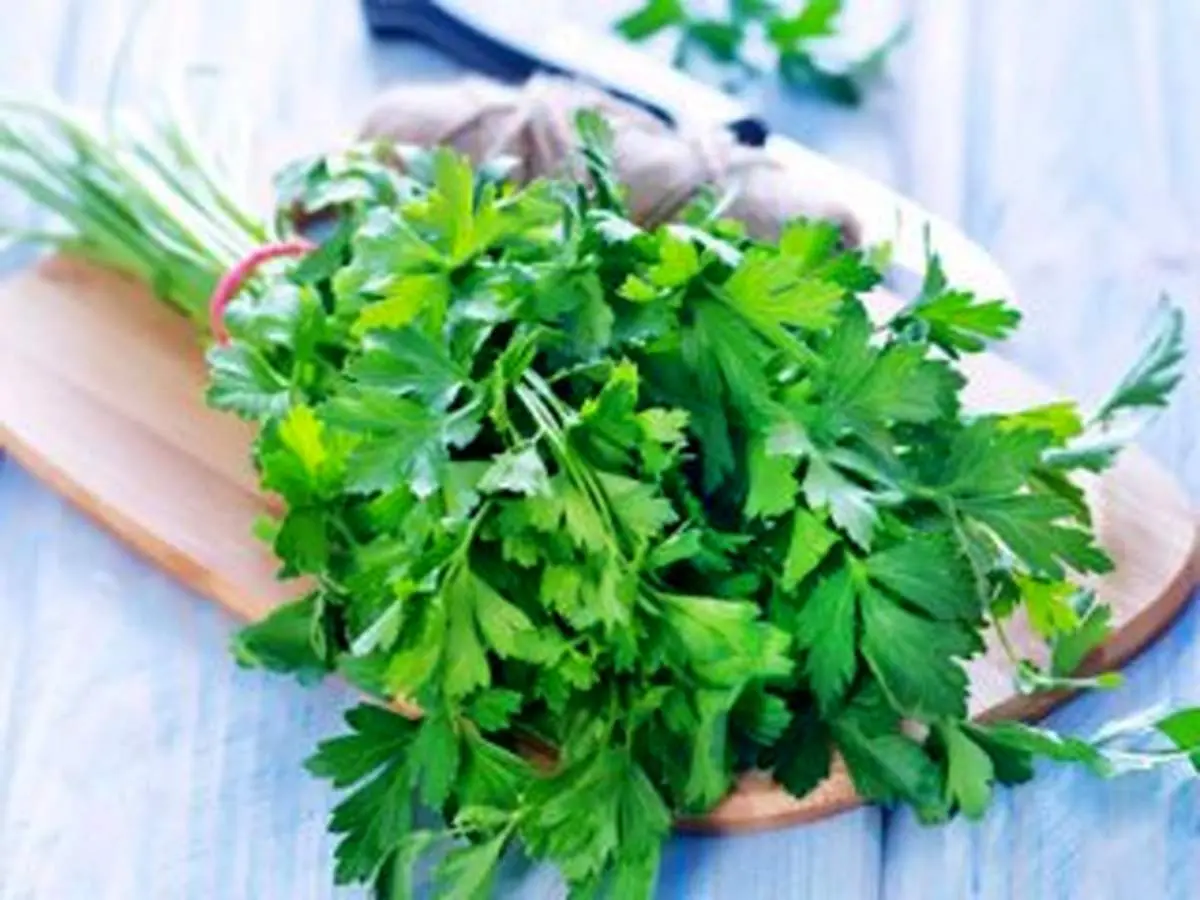 رمز و راز‌های جعفری در سلامت