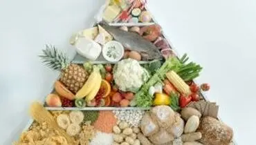 رژیم پروتئین: رژیم معجزه گر؟
