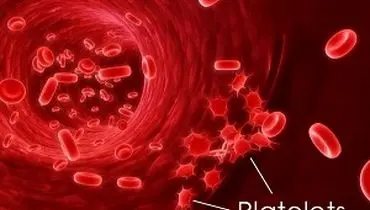 علت افزایش یا کاهش پلاکت‌ها در خون چیست؟