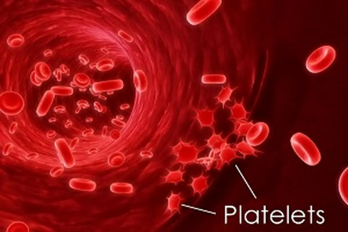 علت افزایش یا کاهش پلاکت‌ها در خون چیست؟