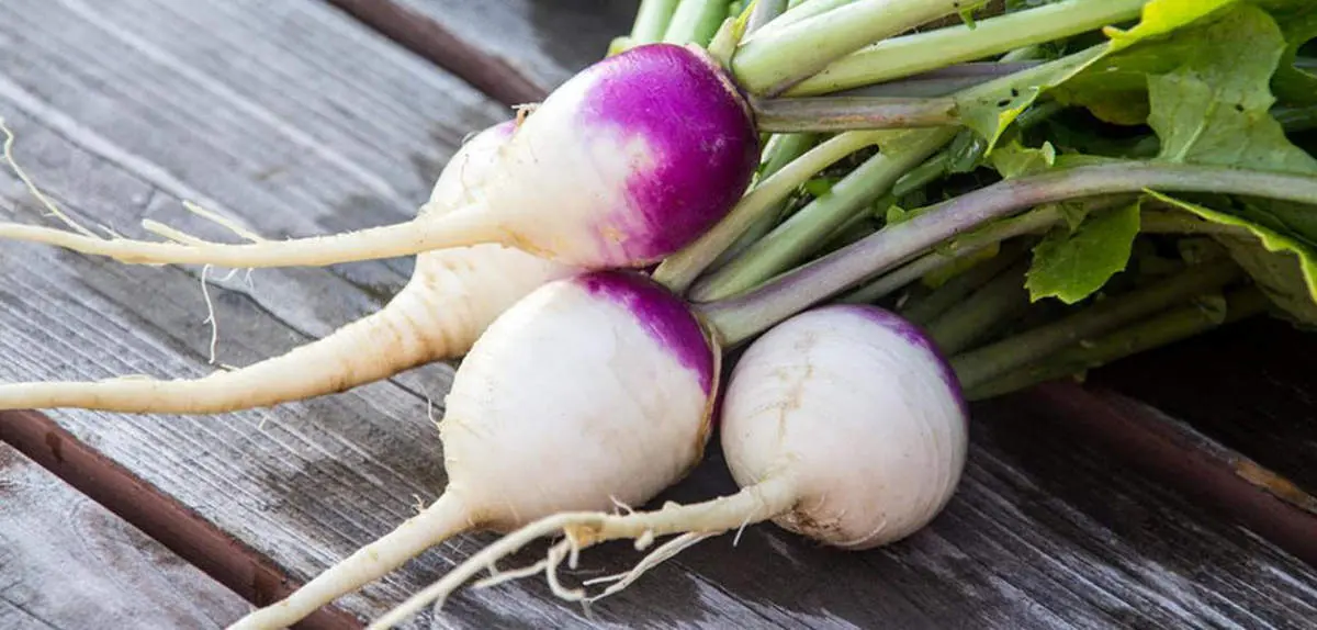 با شلغم به جنگ دیابت بروید