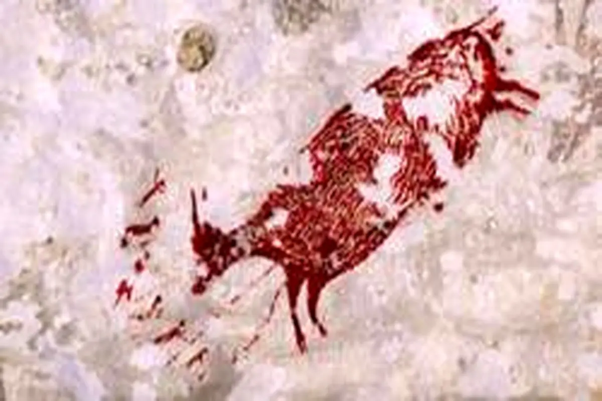 حیوان نقاشی شده بر دیوار غار ۴۴ هزار سال قدمت دارد
