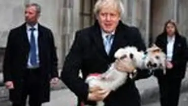 همراه عجیب نخست وزیر انگلیس در حوزه رای گیری