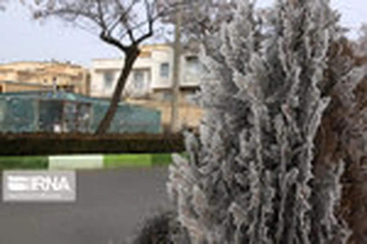 درختان یخ‌زده سقز
