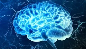 پژوهشگران آمریکایی:عضلات با مغز حرف می‌زنند!