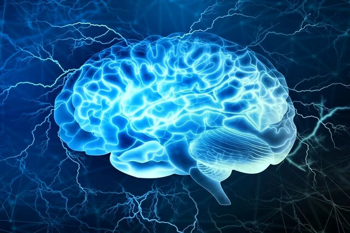 پژوهشگران آمریکایی:عضلات با مغز حرف می‌زنند!