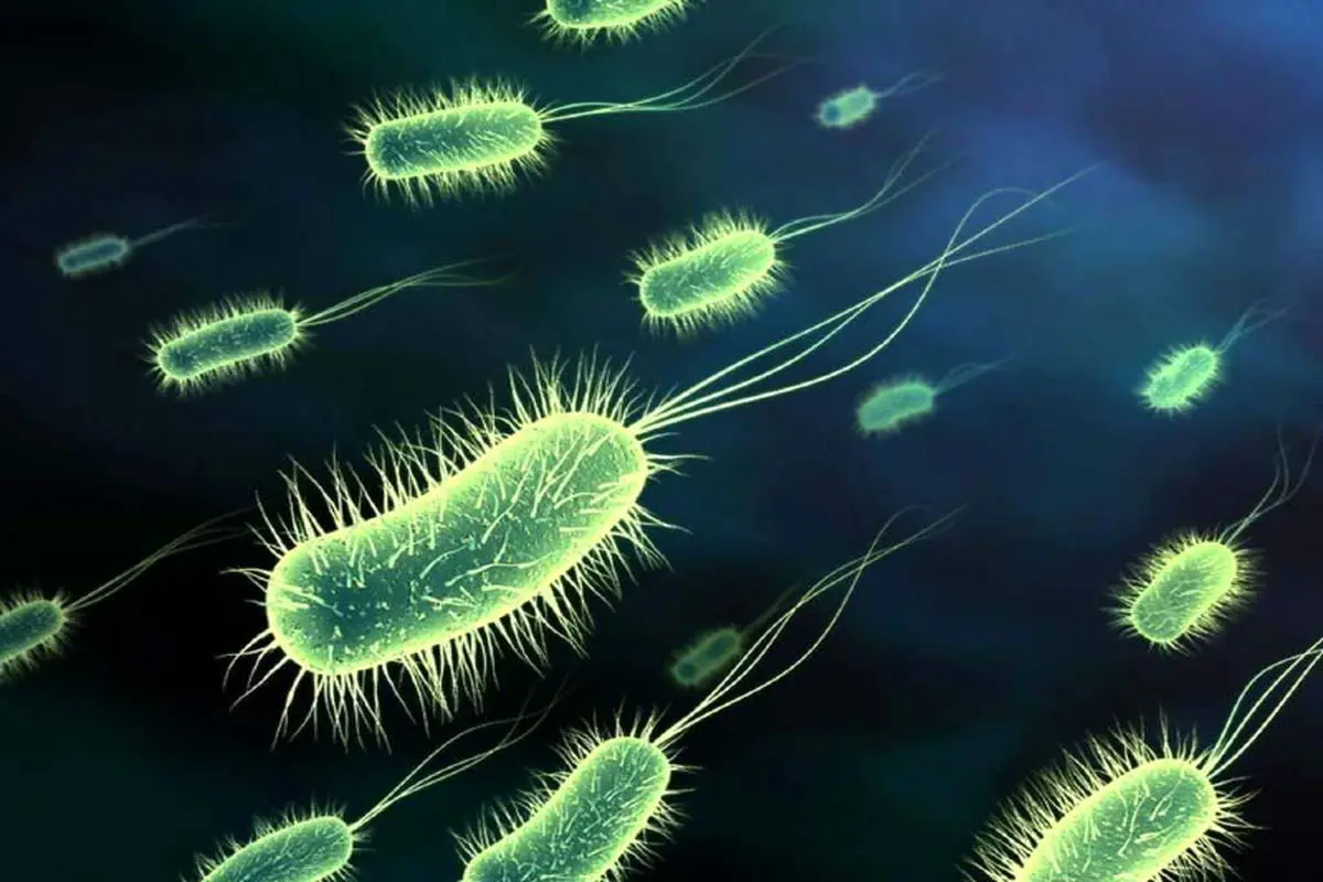 توصیه‌های طلایی برای حفظ باکتری‌های بدن