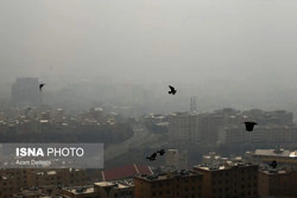 مدارس تهران دوشنبه ۲۵ آذر هم تعطیل است/ طرح زوج و فرد از درب منازل