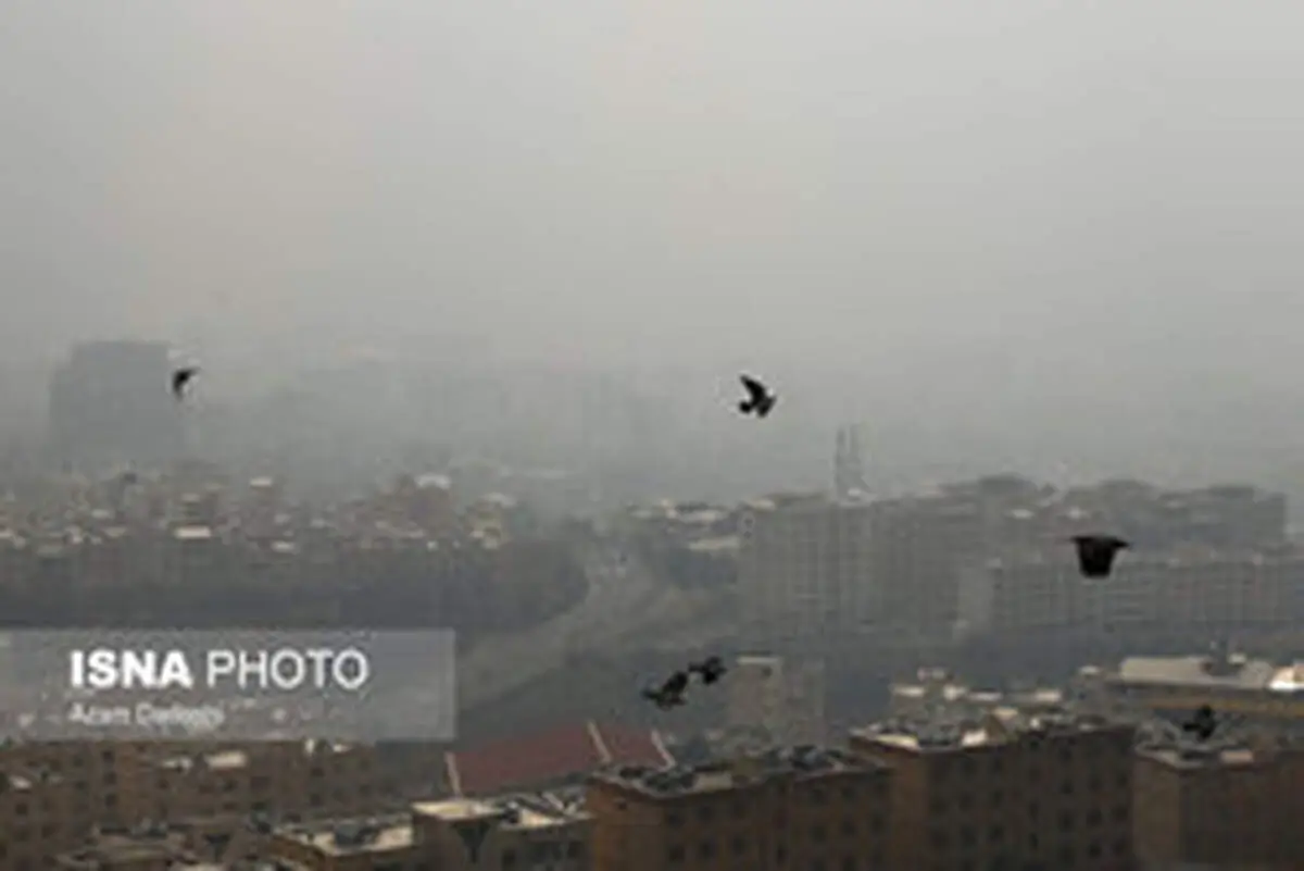مدارس تهران دوشنبه ۲۵ آذر هم تعطیل است/ طرح زوج و فرد از درب منازل