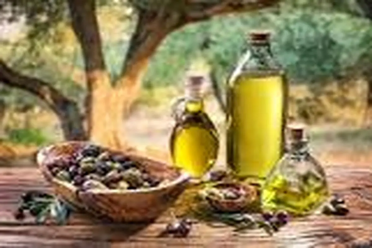 روغن زیتون؛ کنترل‌کننده بیماری‌های قلبی