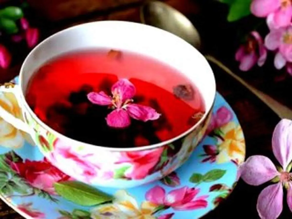 دمنوش‌هایی برای کم خونی