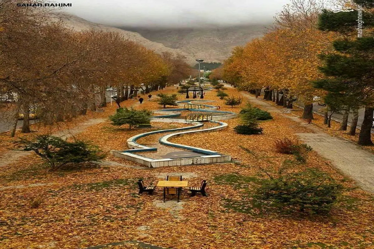 طولانی‌ترین بلوار جنگلی ایران