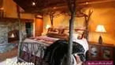 اتاق خوابی متفاوت با تخت‌خواب‌های درختی