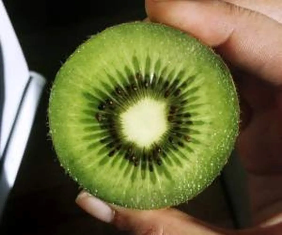 خوردن کیوی در دوران بارداری ضرر دارد یا فایده؟