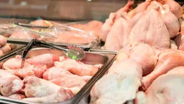 ثبات قیمت مرغ در بازار ادامه‌دار شد