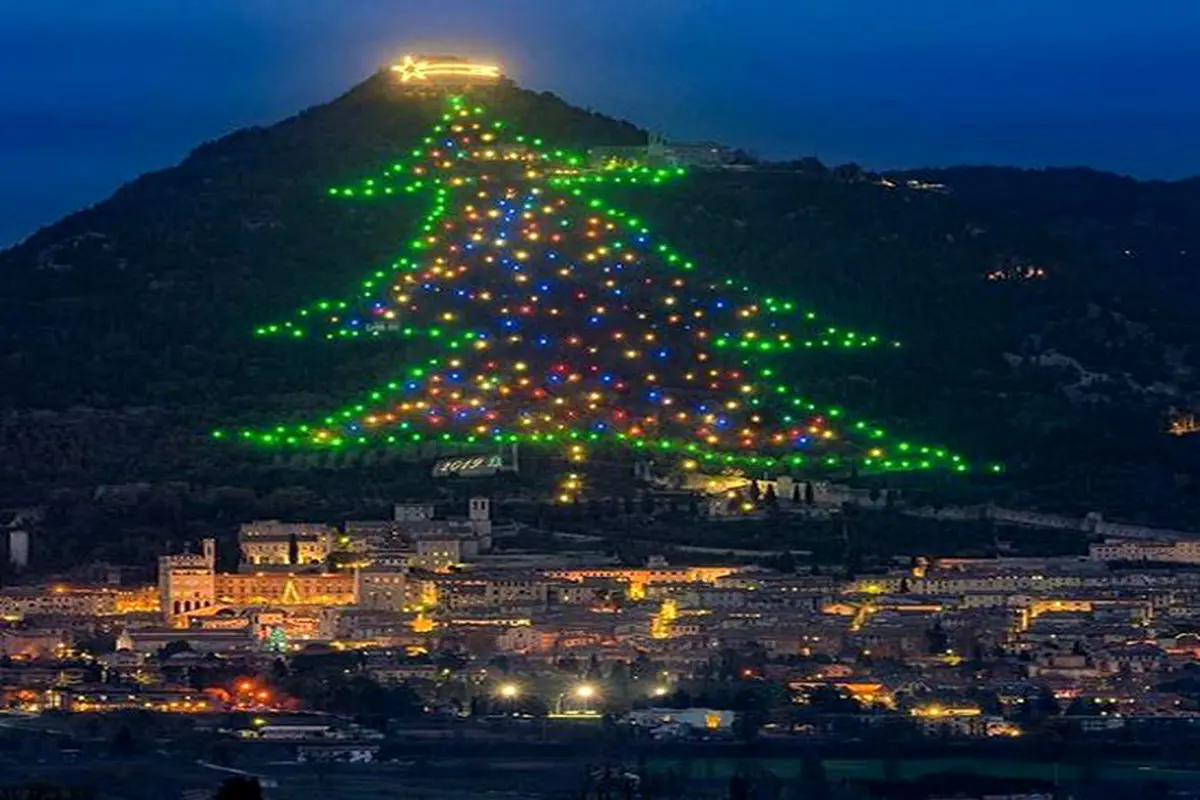 بزرگترین درخت کریسمس جهان در ایتالیا+تصویر