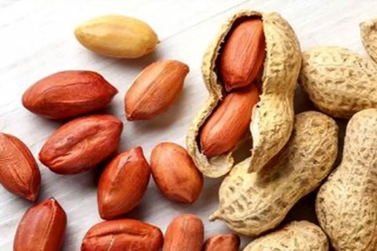 ۵ حقیقت جالب در مورد بادام زمینی