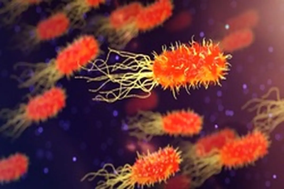 ۵ روش طبیعی برای مبارزه با عفونت‌های باکتریایی