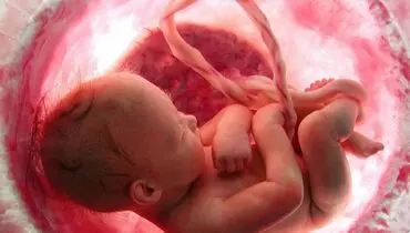 کاهش اندازه جنین بر اثر آلودگی زیست‌محیطی