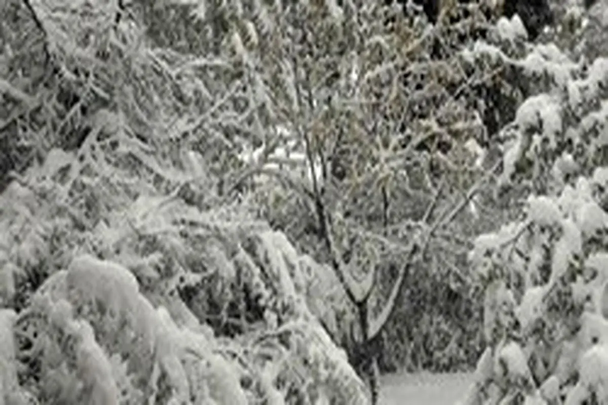 برف و باران در کشور و یخبندان در ۱۷ استان