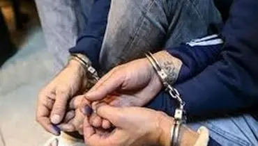 بازداشت ۷ نفر از عوامل ناآرامی‌ها در استان تهران