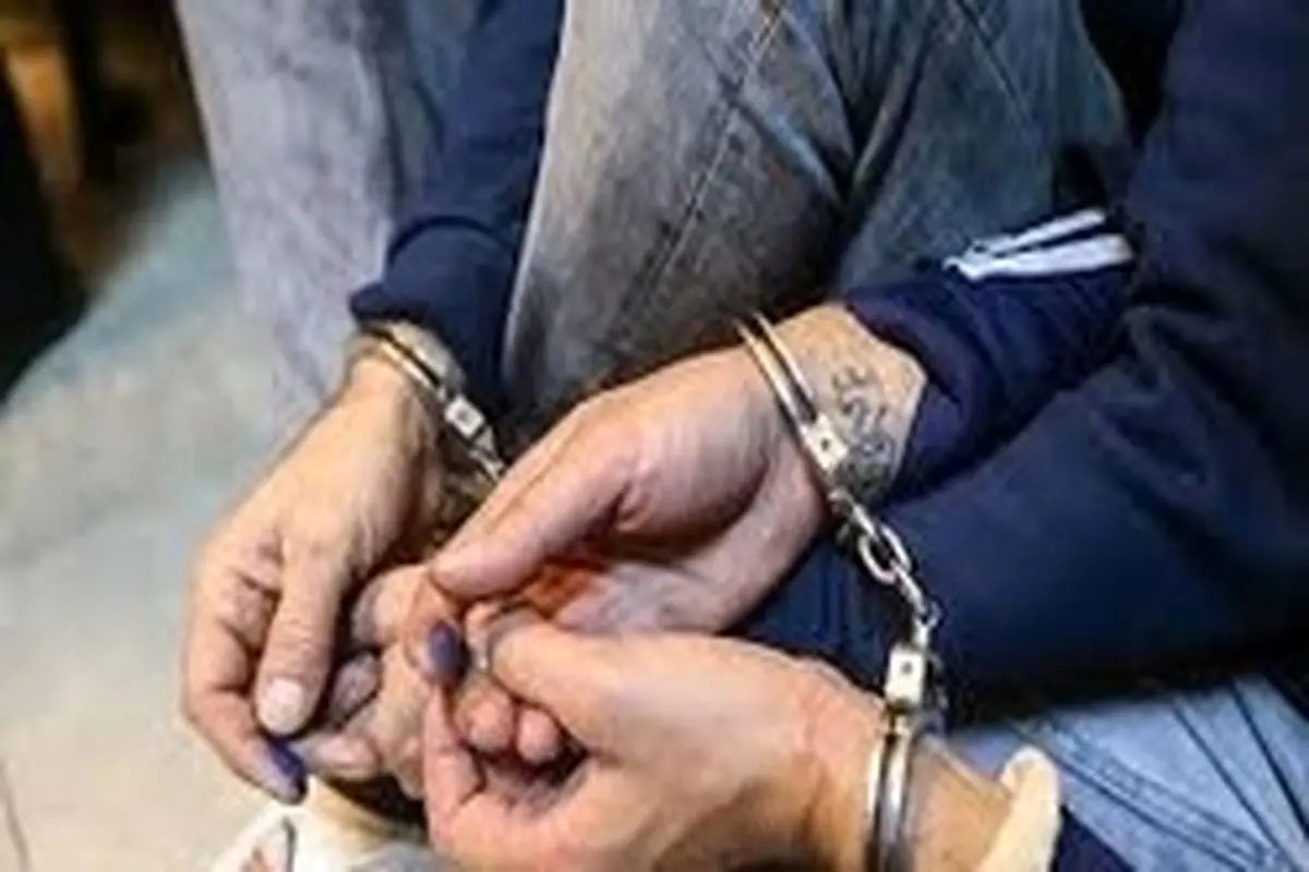 بازداشت ۷ نفر از عوامل ناآرامی‌ها در استان تهران