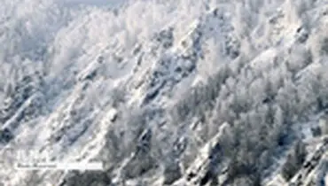 زمستان در ناحیه کراسنویارسک روسیه