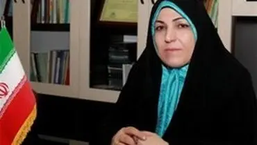 فریده اولاد قباد:باید بر اساس برنامه های عملیاتی، به وزارتخانه ها و شرکت های دولتی بودجه بدهیم