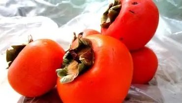 با این میوه زمستانی لاغر شوید