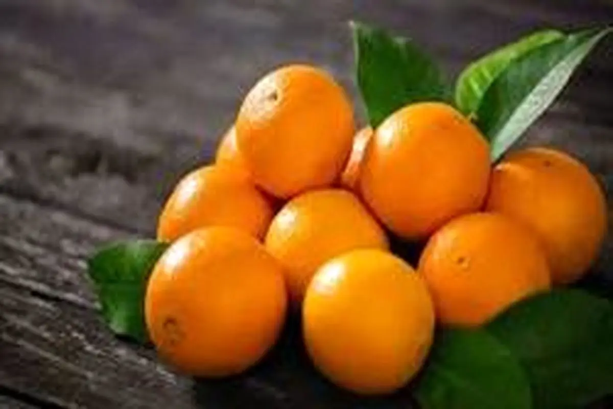 راز‌های شگفت‌انگیز خوردن پرتقال در صبحانه