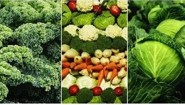 سبزیجات ضد سرماخوردگی را بشناسید