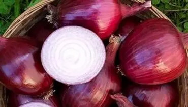 آنچه در مورد پیاز نمی‌دانید!