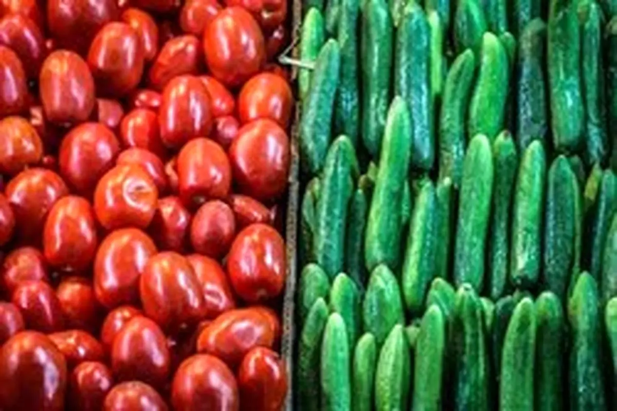 قیمت کاهو، خیار و هویج در میادین میوه و تره بار کاهش یافت