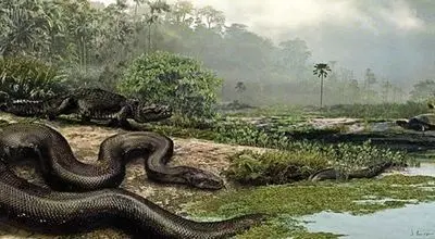 تصاویر شگفت‌انگیز پادشاهی خزنده‌ای عظیم بعد از عصر دایناسورها + عکس

