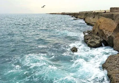نخواندن «ابی» ۱۳ میلیون بازدید گرفت! + فیلم

