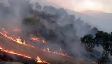 آتش سوزی وحشتناک در ارتفاعات گیلانغرب+ فیلم