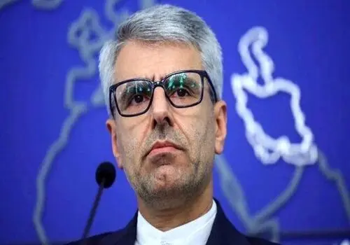 بقائی: اروپا در برابر جنایات علیه ایران سکوت کرده است