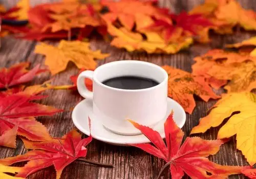 ۷ دمنوش پاییزی برای تقویت سیستم ایمنی و رفع خستگی
