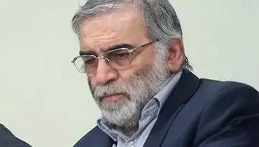 حکم اعدام برای ۲ کولبر موثر در ترور شهید فخری‌زاده+عکس