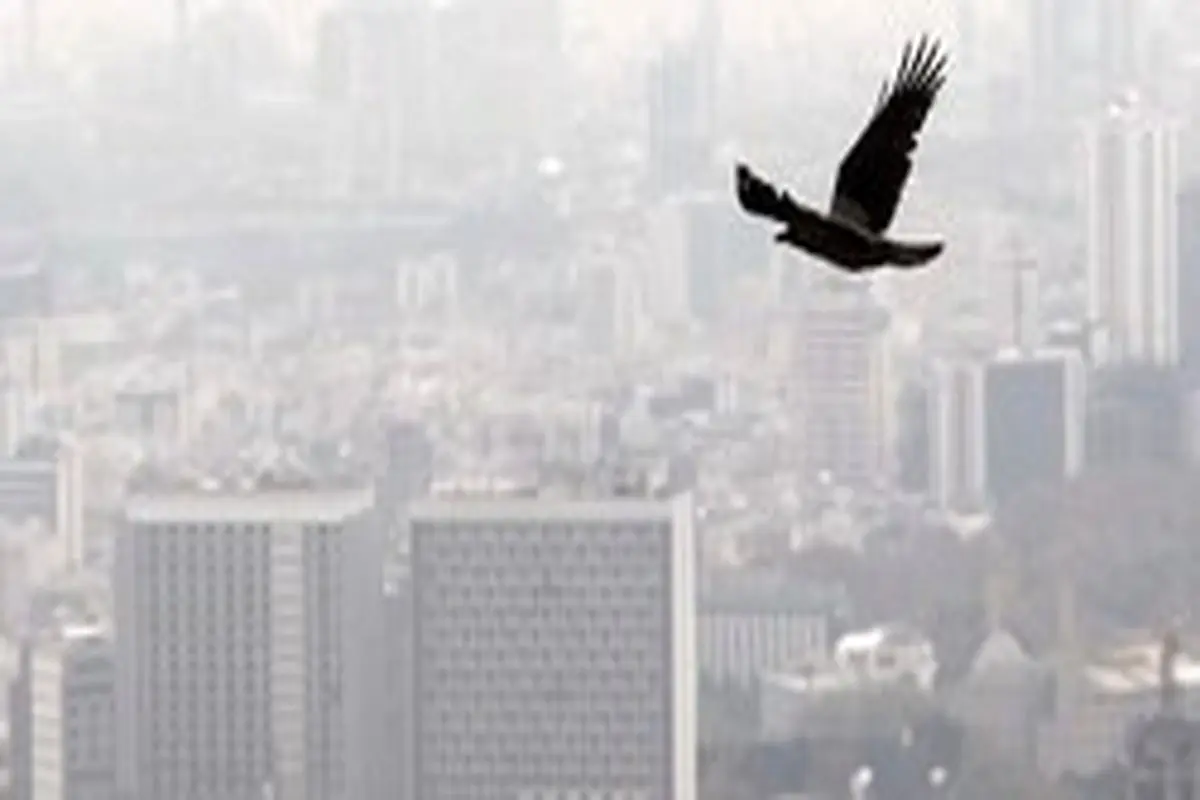 جدیدترین‌های «کیفیت هوا»|هوای تهران آلوده است