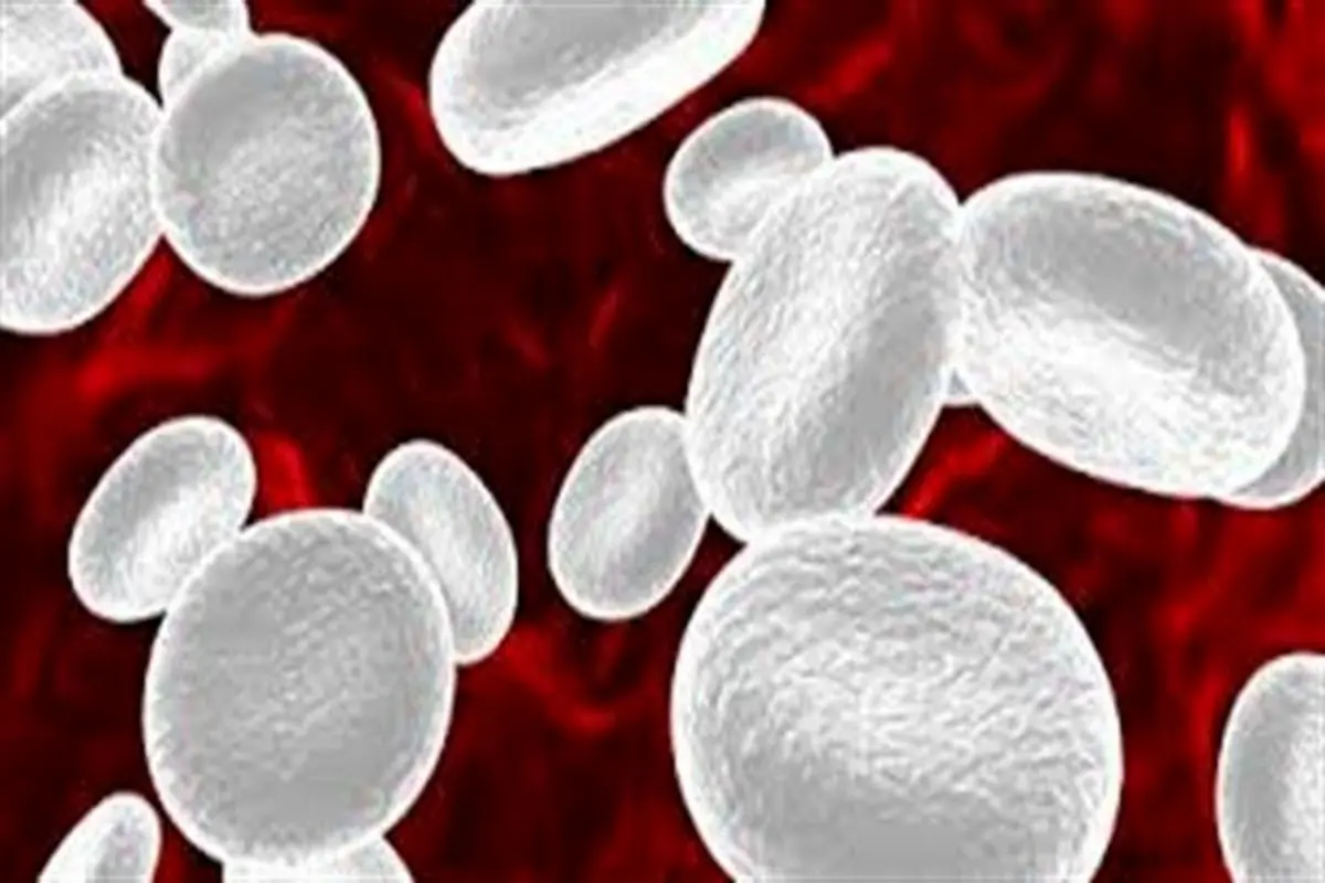 میزان پایین سلول‌های اصلی خون نشانه خطر بالای مرگ